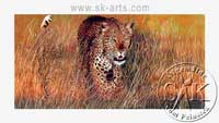 Leopard im hohen Gras