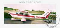 Auftragsmalerei Flugzeug