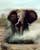 Elefant