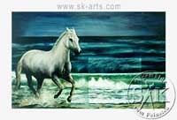 Schimmel am Meer