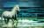 Schimmel am Meer